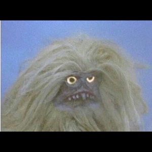 Meet your Posher, Katy